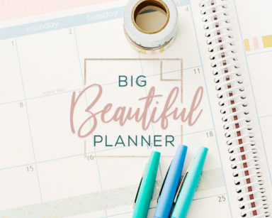 Big Beautiful Planner Big Beautiful Planner